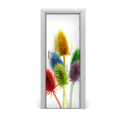 Fototapeta na dvere Farebný bodliak