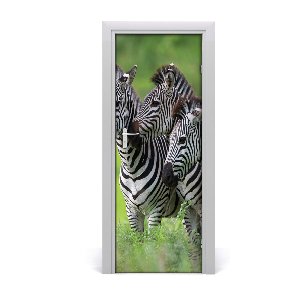 Fototapeta samolepiace na dvere Zebry