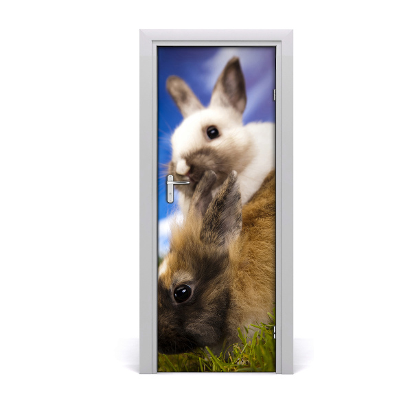 Fototapeta na dvere Králiky