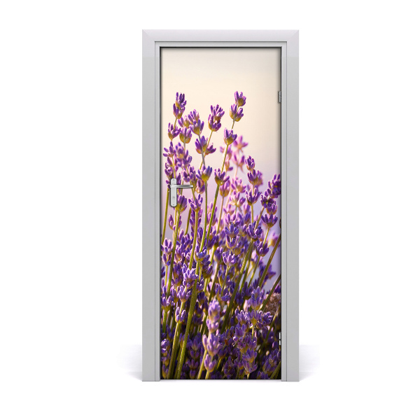 Fototapeta na dvere Levanduľa