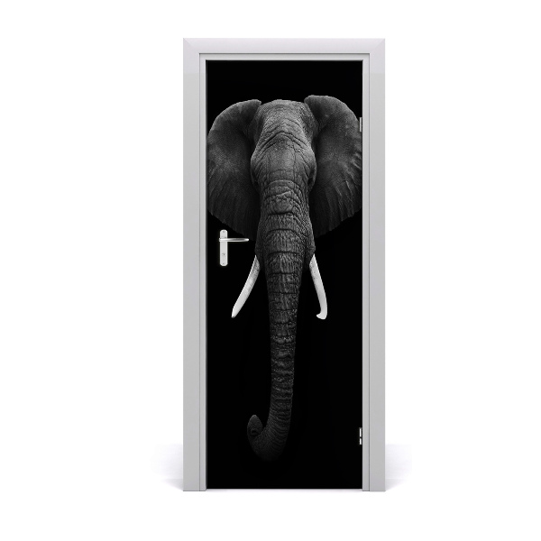 Fototapeta samolepiace na dvere Slon africký