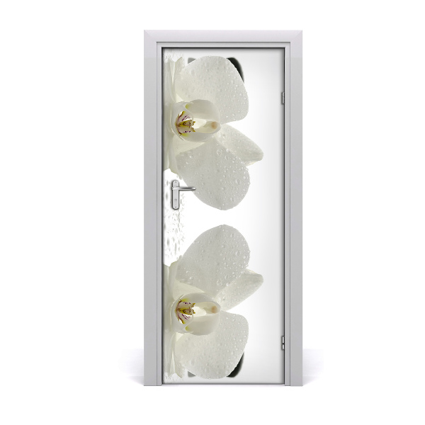 Fototapeta na dvere Orchidea a kamene