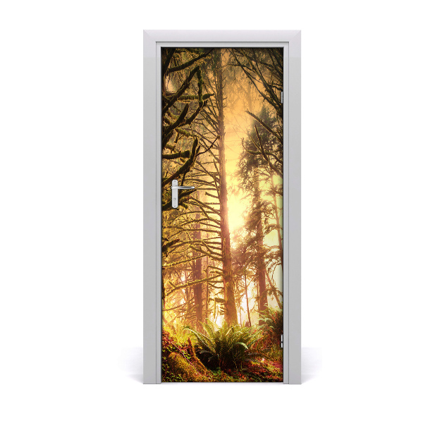 Fototapeta samolepiace na dvere Dažďový prales