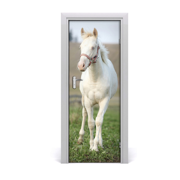 Fototapeta samolepiace na dvere Albínsky kôň