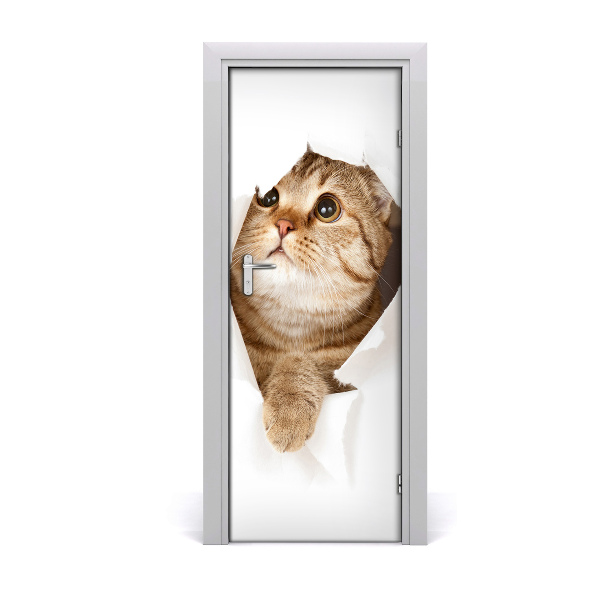 Fototapeta na dvere Mačka