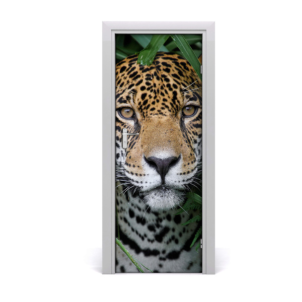Fototapeta na dvere Jaguár v džungli