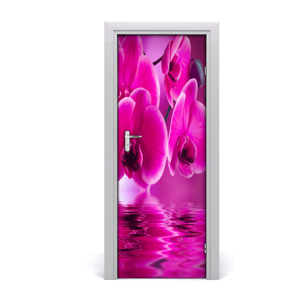 Fototapeta samolepiace na dvere Ružová orchidea