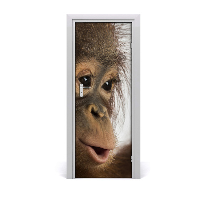 Fototapeta samolepiace na dvere Mladý orangutan