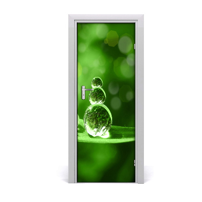 Fototapeta samolepiace na dvere Kvapky na tráve