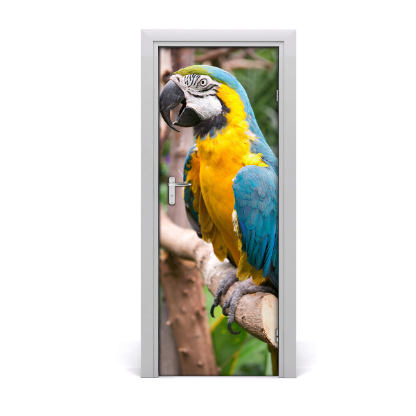 Fototapeta na dvere Papagáj ara