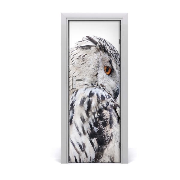 Fototapeta samolepiace na dvere Biela sova