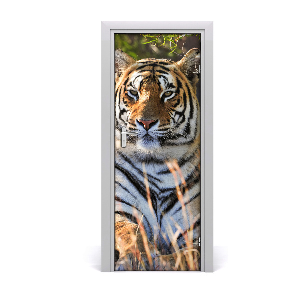 Fototapeta na dvere Tiger