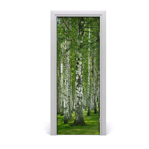 Fototapeta na dvere Mladý brezový les