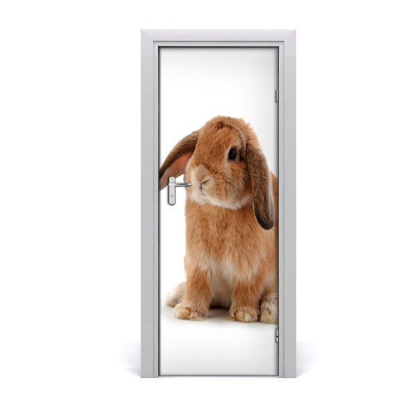 Fototapeta na dvere Králik