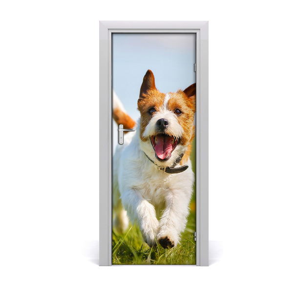 Fototapeta samolepiace na dvere Pes Jack Russell