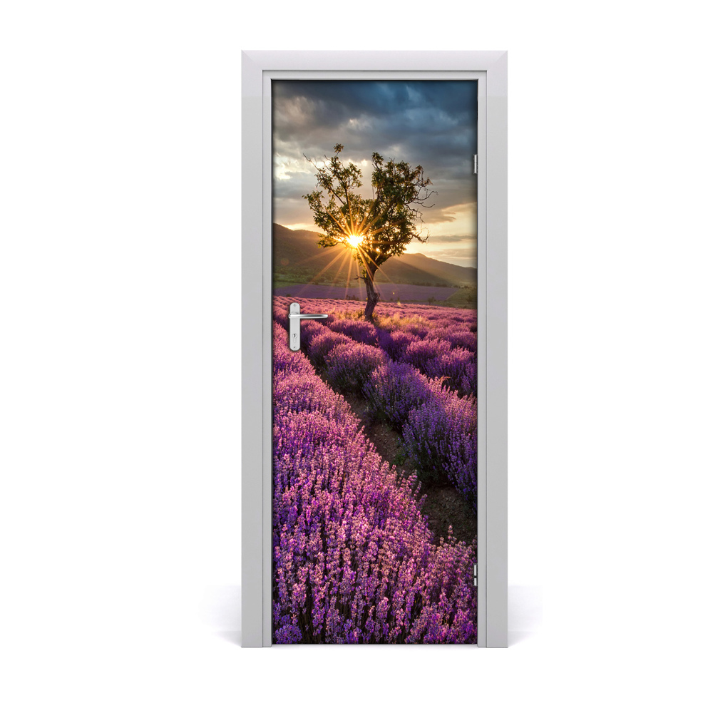 Fototapeta samolepiace na dvere Strom v poli levandule