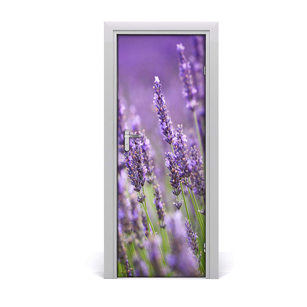 Fototapeta na dvere Pole levandule