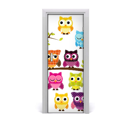 Fototapeta na dvere Farebné sovy