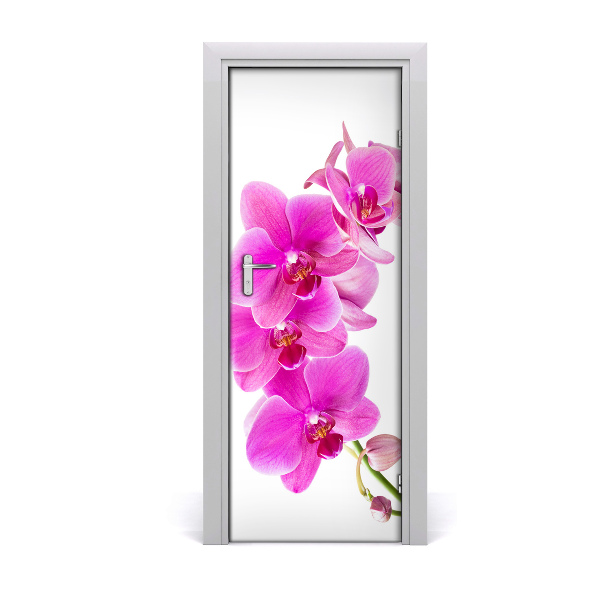 Fototapeta samolepiace na dvere Ružová orchidea