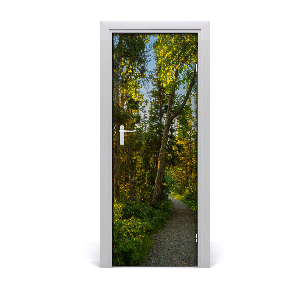 Fototapeta na dvere Stromy v lese