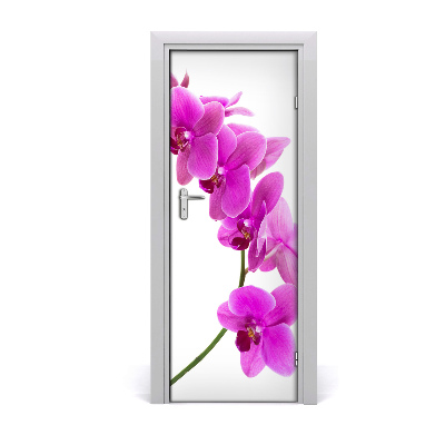 Fototapeta na dvere Ružová orchidea