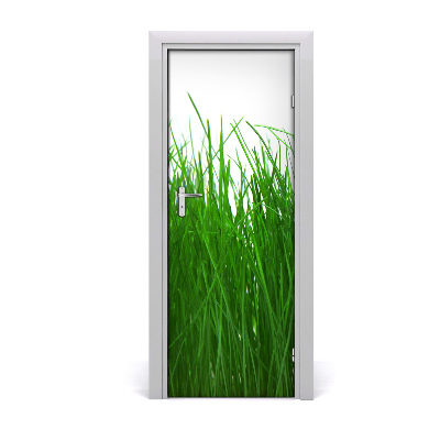 Fototapeta samolepiace na dvere Tráva