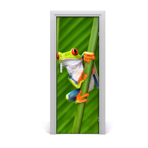 Fototapeta na dvere Žaba