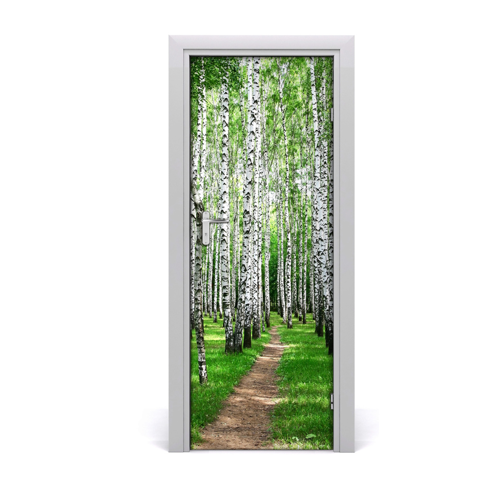 Fototapeta samolepiace na dvere Brezová lesná cesta