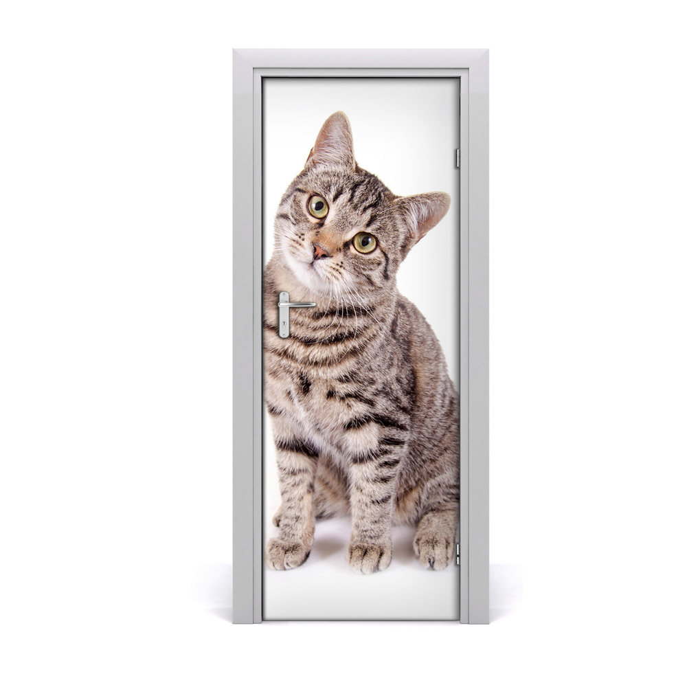 Fototapeta samolepiace na dvere Mačka
