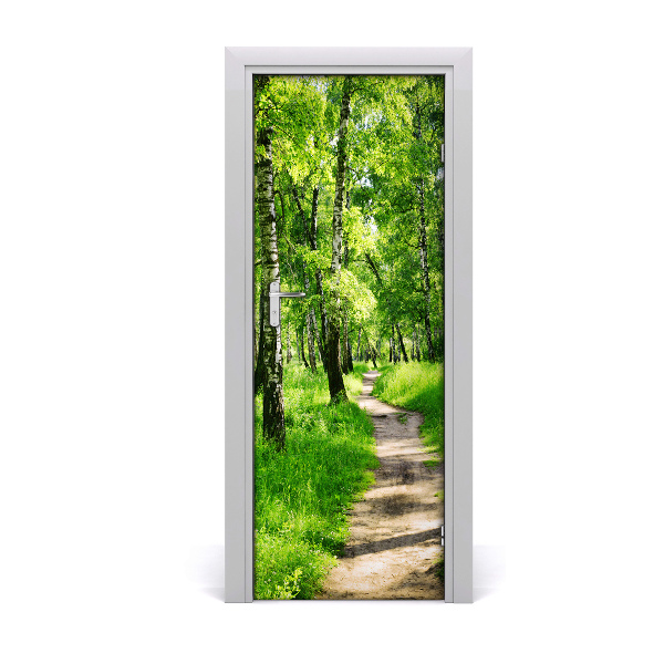 Fototapeta samolepiace na dvere Cesta v brezovom lese