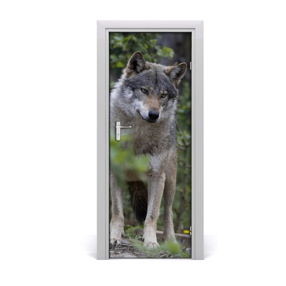 Fototapeta na dvere Vlk v lese
