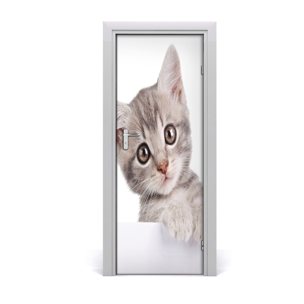 Fototapeta samolepiace na dvere Malá mačka