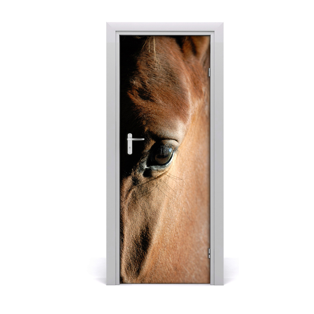 Fototapeta samolepiace na dvere Kôň