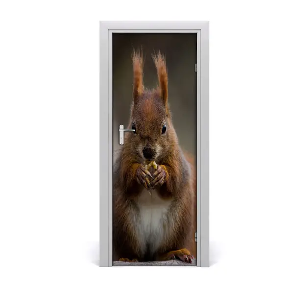 Fototapeta na dvere Veverička