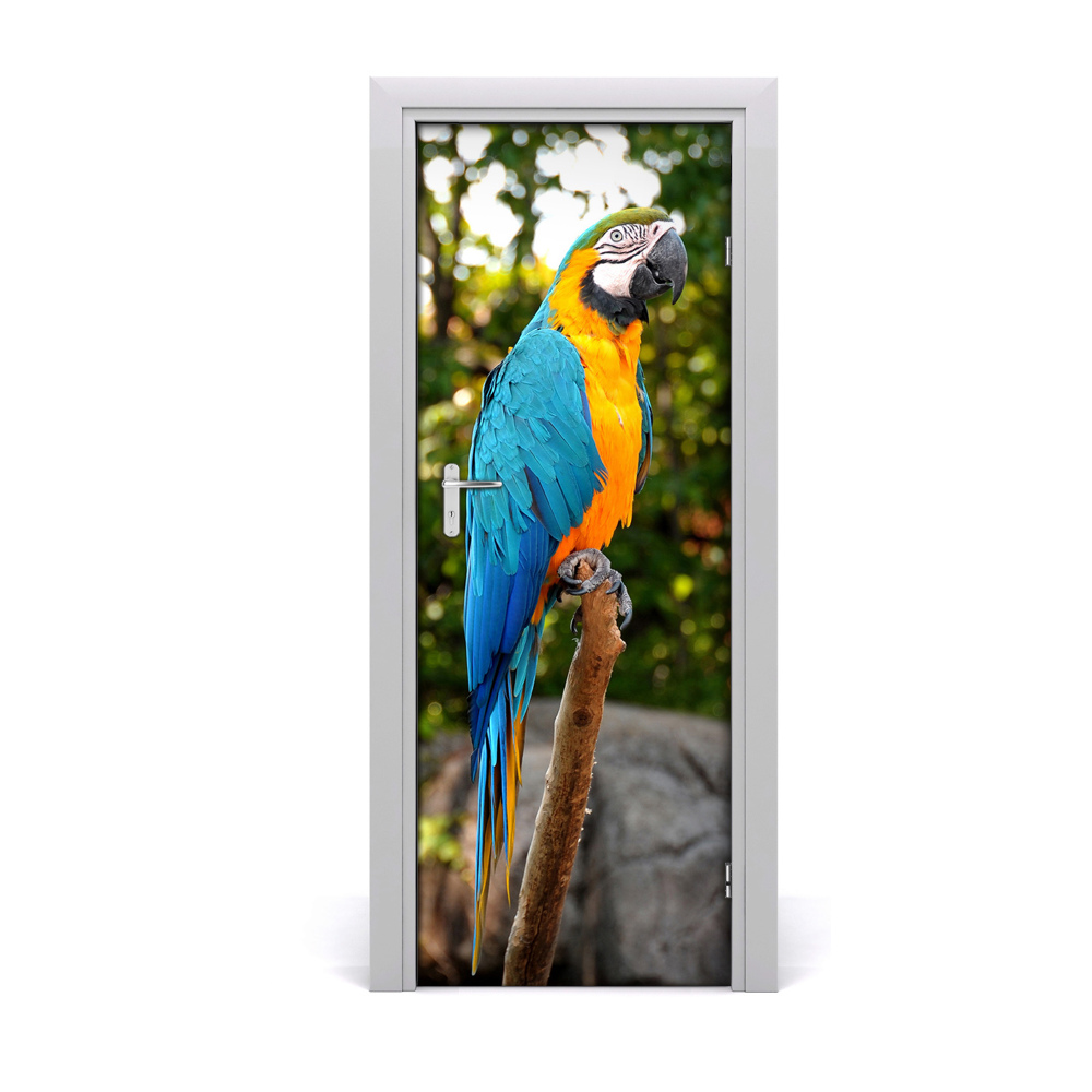 Fototapeta samolepiace na dvere Papagáj ara