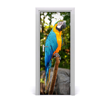Fototapeta samolepiace na dvere Papagáj ara