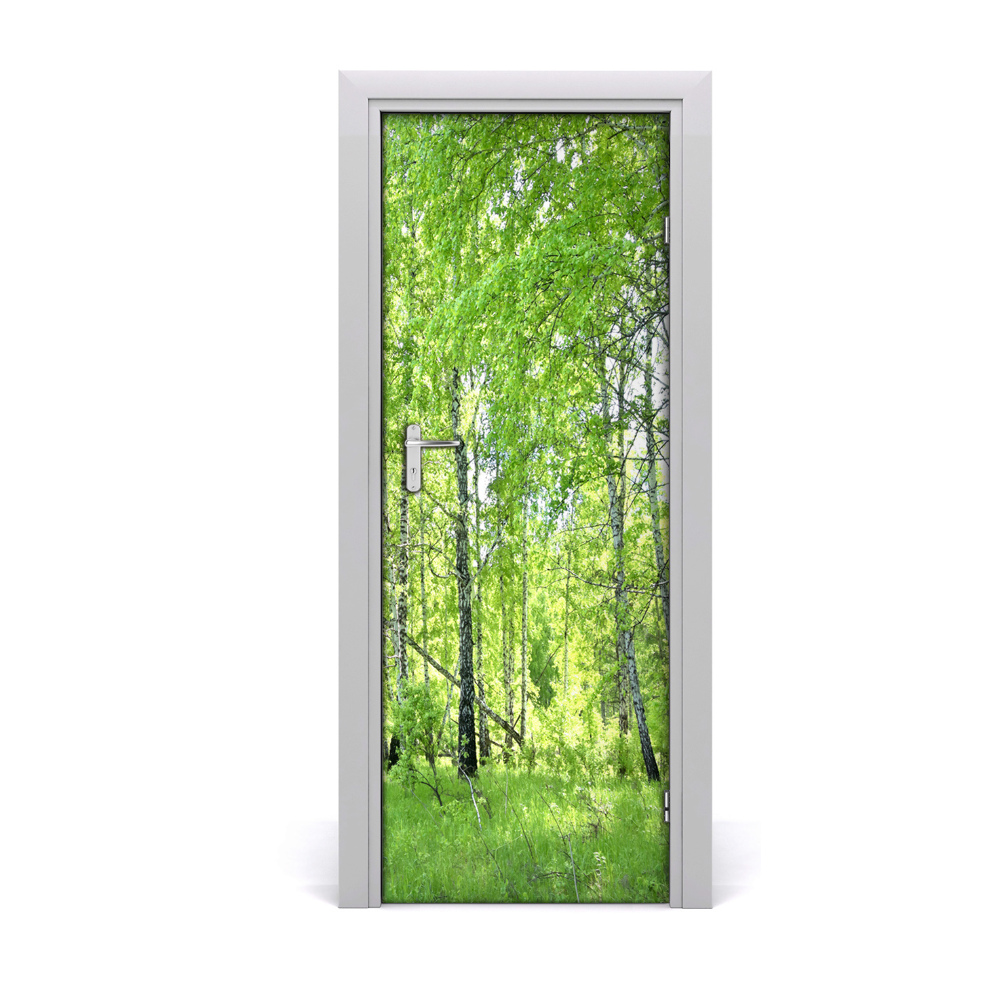 Fototapeta samolepiace na dvere Brezy
