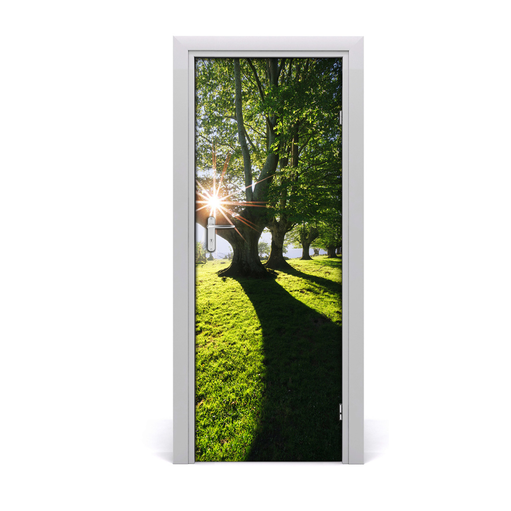 Fototapeta na dvere Zelené stromy v parku