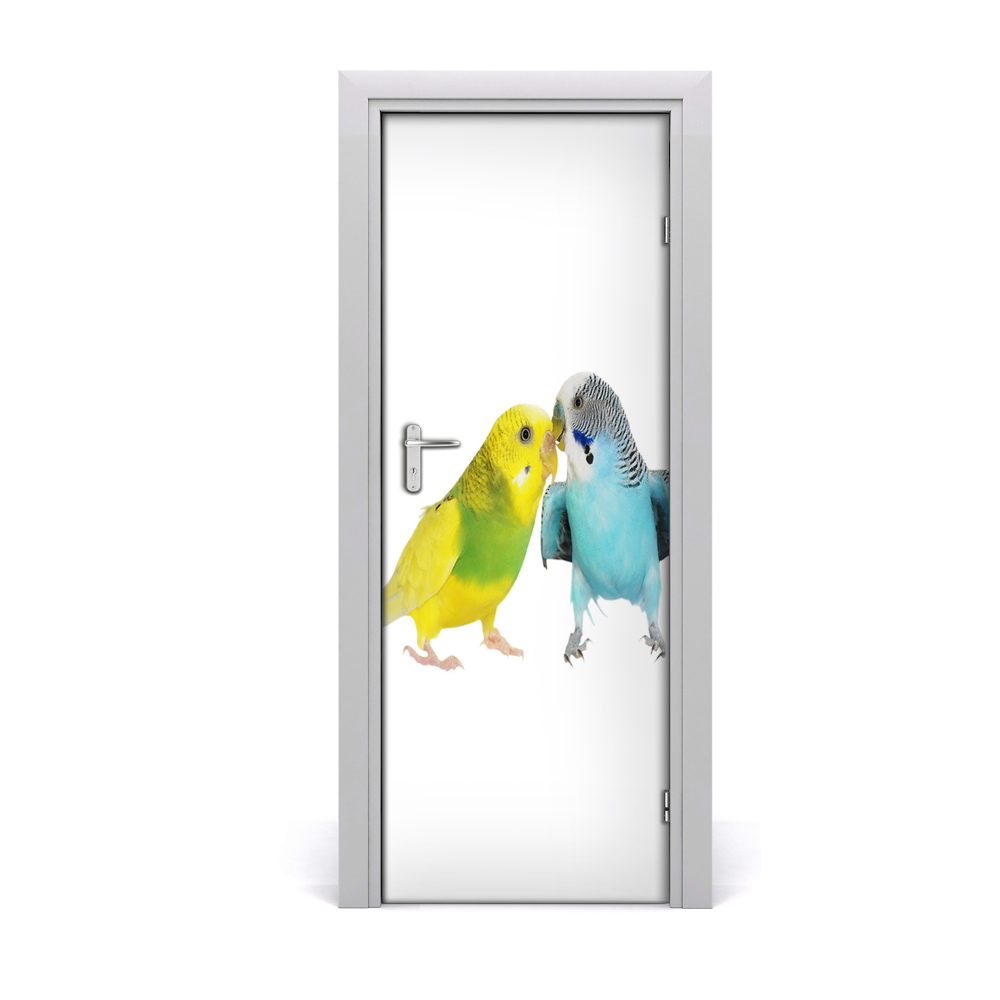 Fototapeta samolepiace na dvere Papagáje