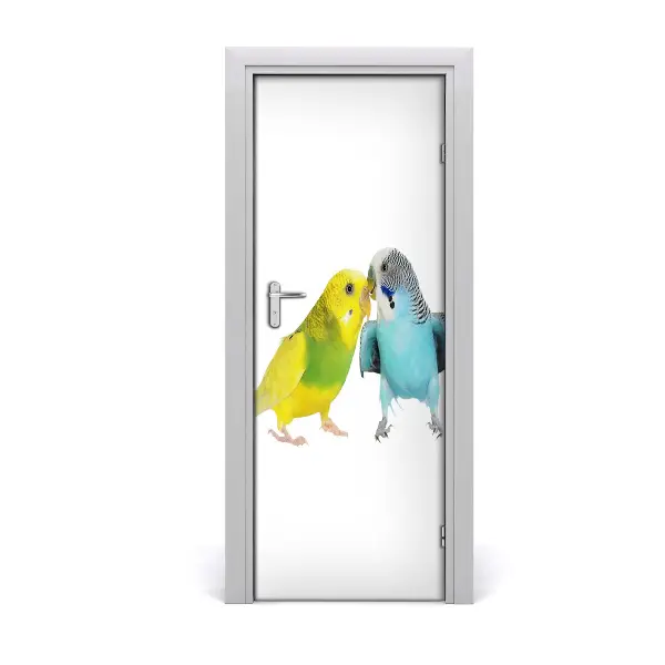 Fototapeta samolepiace na dvere Papagáje