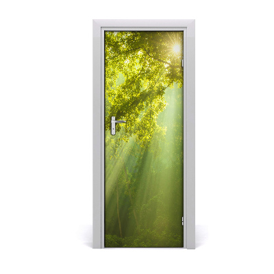 Fototapeta samolepiace na dvere Slnko v mladom lese