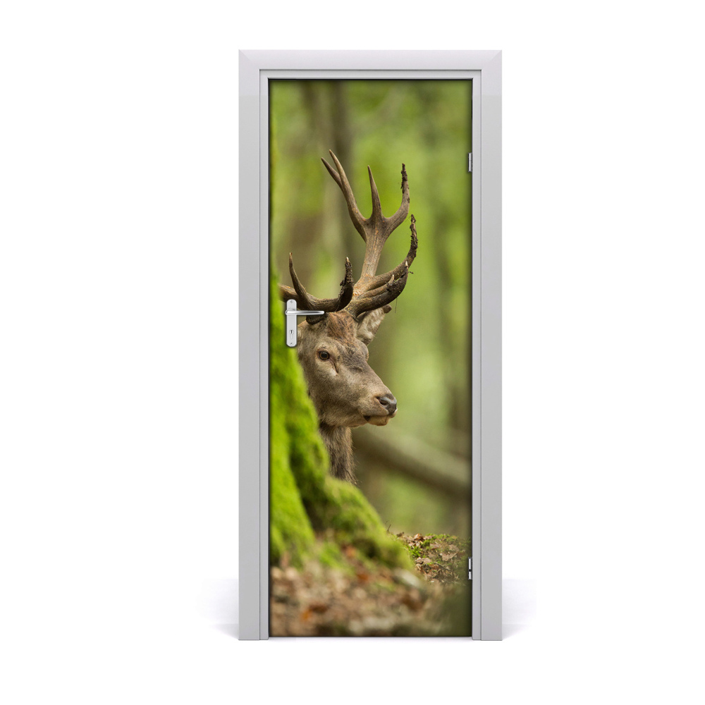 Fototapeta samolepiace na dvere Jeleň