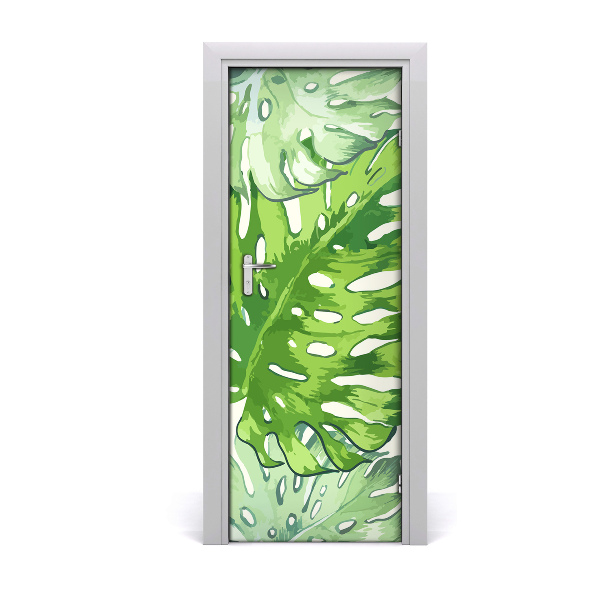 Fototapeta na dvere Listy palmy Monstera
