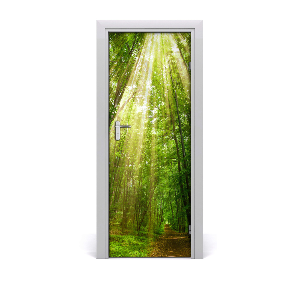 Fototapeta na dvere Slnečný svit v lese