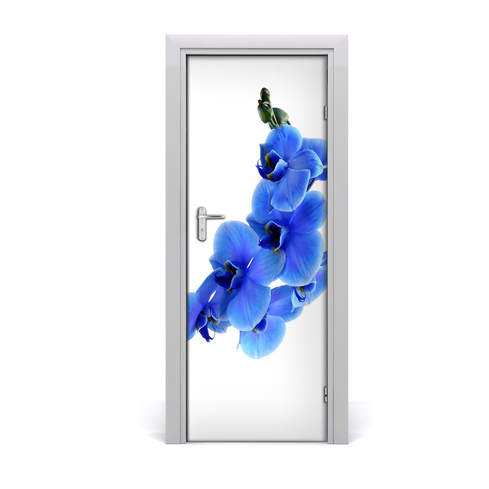 Fototapeta na dvere Modrá orchidea