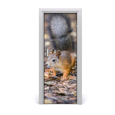 Fototapeta samolepiace na dvere Veverička v lese