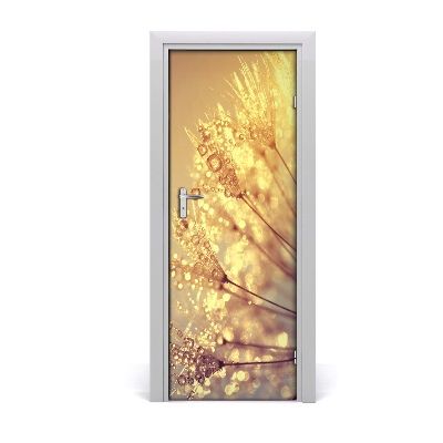 Fototapeta na dvere Semeno púzdra