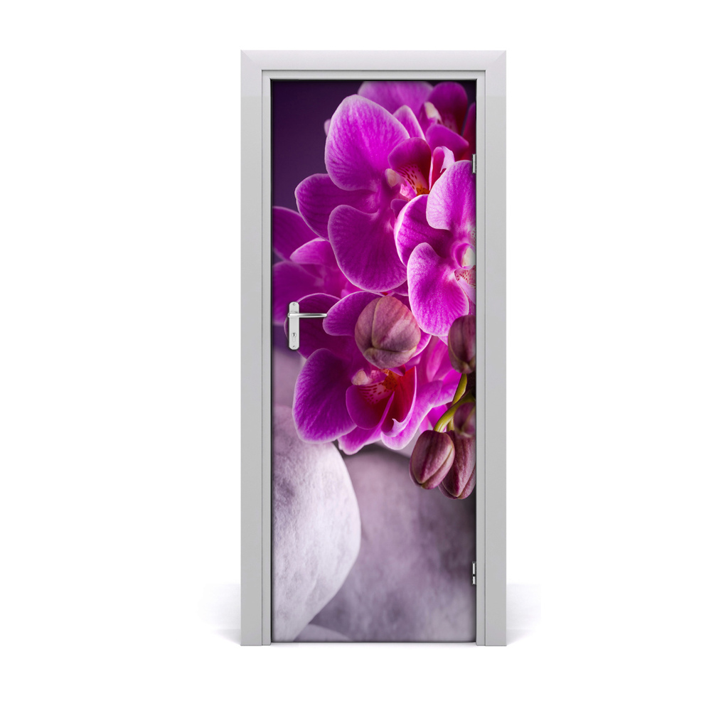 Fototapeta na dvere Ružová orchidea
