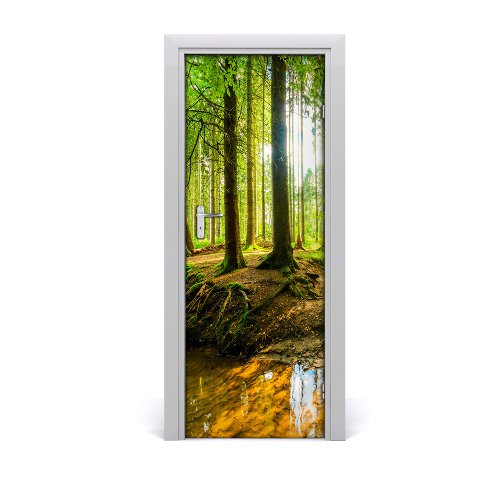 Fototapeta na dvere Potok v krásnom lese