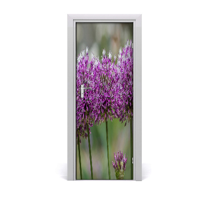 Fototapeta na dvere Kvety cesnaku